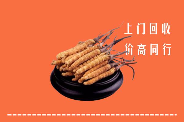 高价求购：建宁县回收散虫草