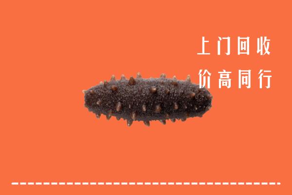 高价求购：建宁县回收海参