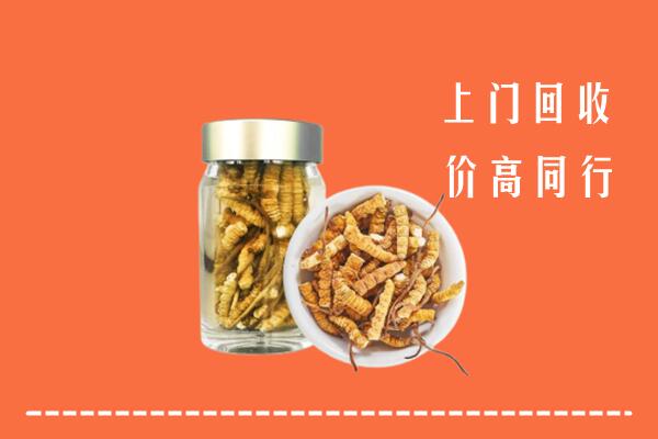 建宁县回收冬虫夏草