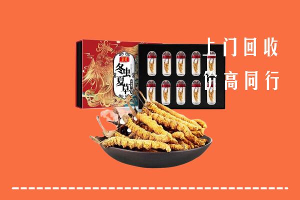 建宁县回收虫草